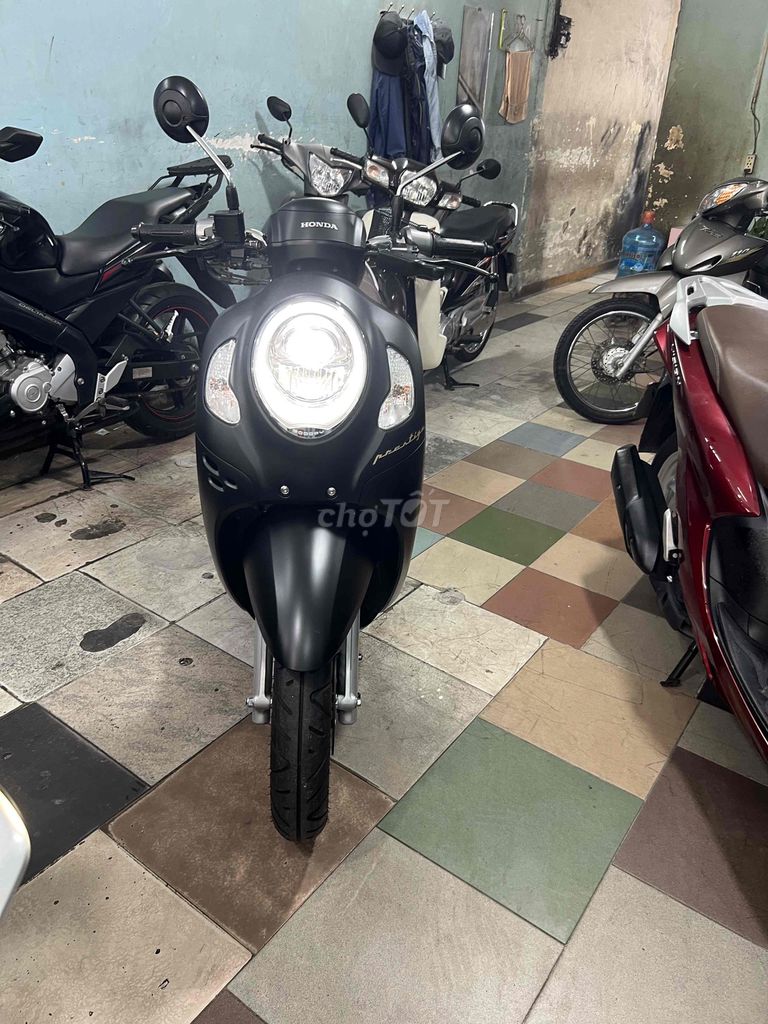 Honda Scoopy 2024 - ảnh 2