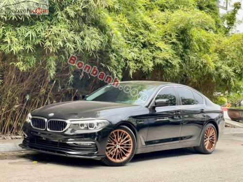 BMW 5 Series 520i 2018 - ảnh 2