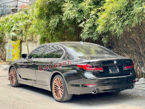 BMW 5 Series 520i 2018 - ảnh 4