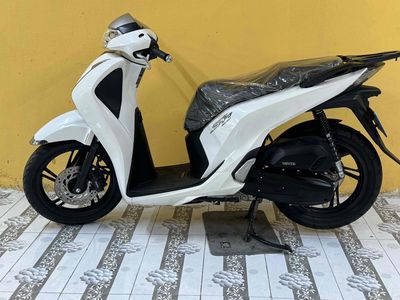 SH 2019 - ảnh 1