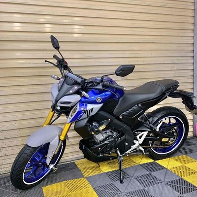 MT 2023 - ảnh 1