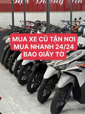 THU MUA 2025 - ảnh 1