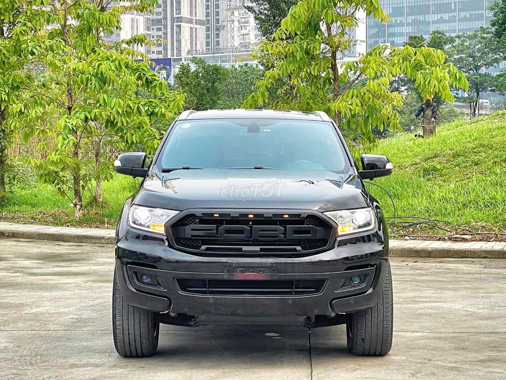 Ford Everest 2019 - ảnh 1