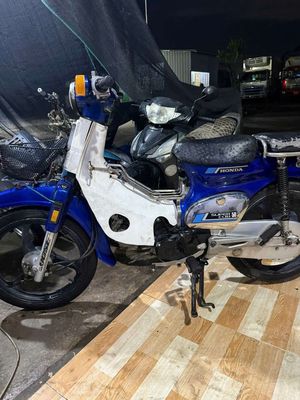 Honda Cub 1981 - ảnh 1