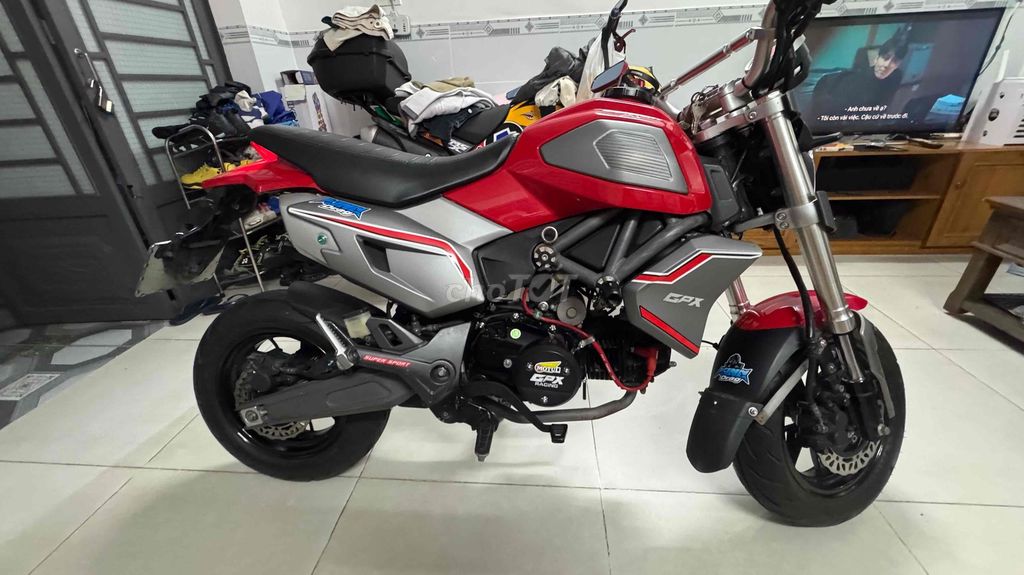 GPX mini 2020 - ảnh 1