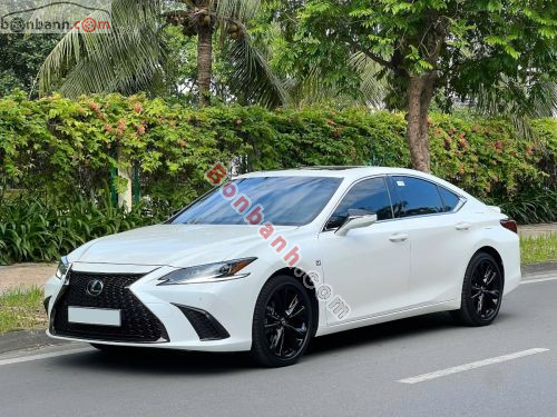 Lexus ES 250 F Sport 2022 - ảnh 3