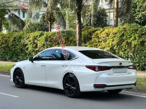 Lexus ES 250 F Sport 2022 - ảnh 4
