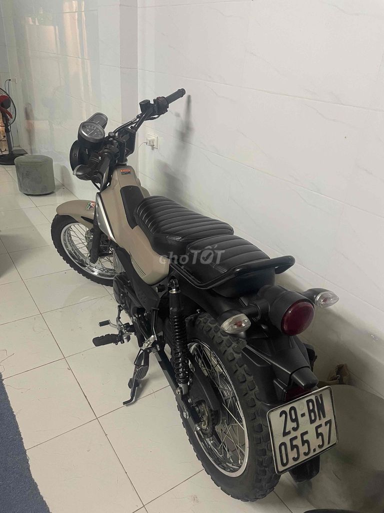 Xe m 2024 - ảnh 1
