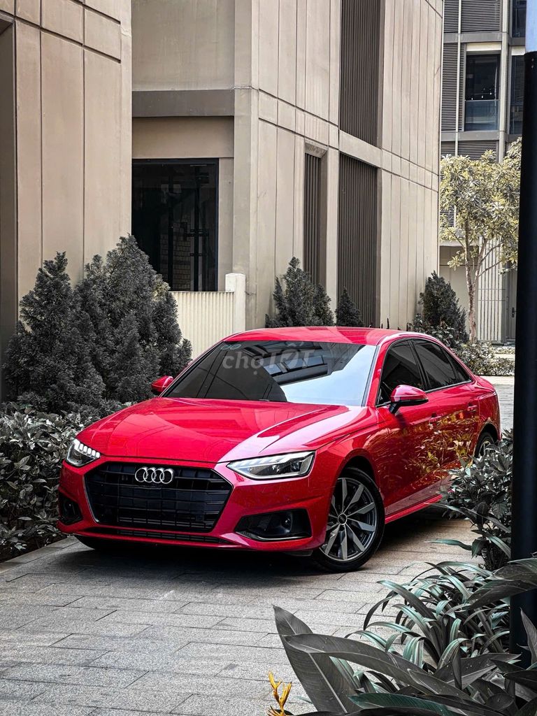 Audi A4 2024 - ảnh 5