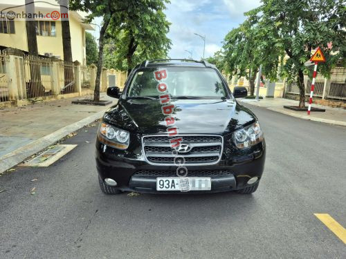 Hyundai 2008 - ảnh 1