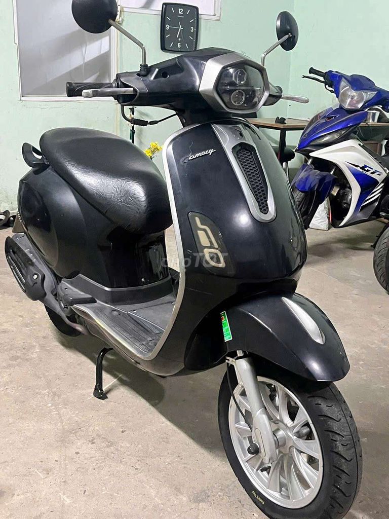 Canelly G 2023 - ảnh 1