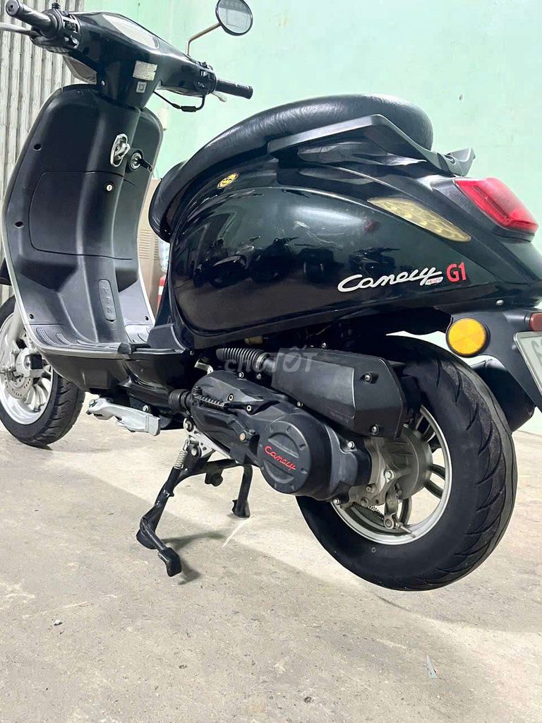Canelly G 2023 - ảnh 4