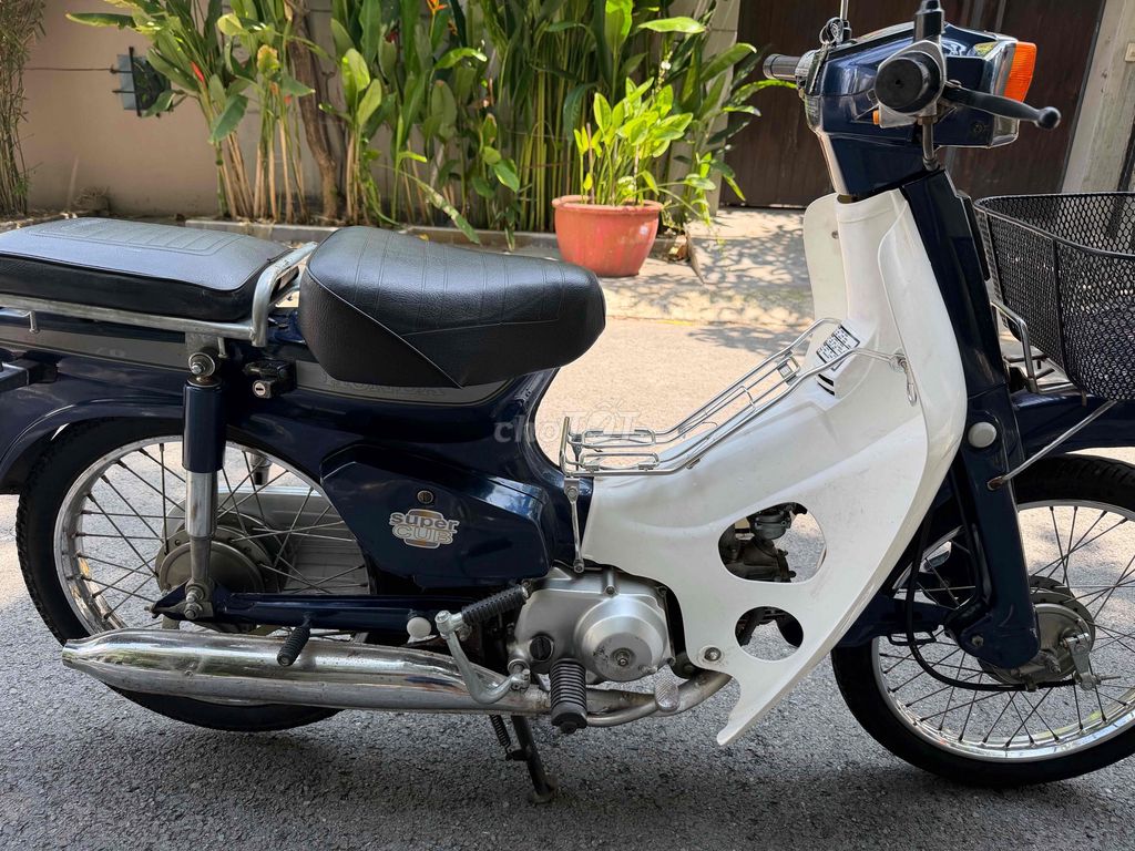 Honda Custom 1999 - ảnh 5