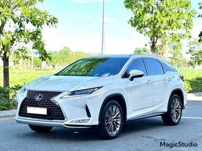 Lexus RX 300 2020 - ảnh 1