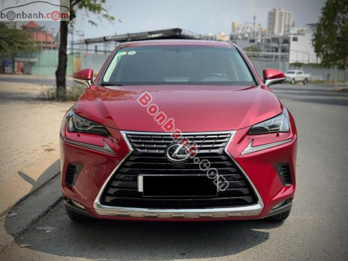 Lexus NX 300 2019 - ảnh 1