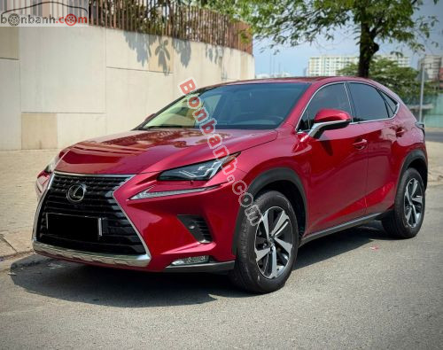 Lexus NX 300 2019 - ảnh 2