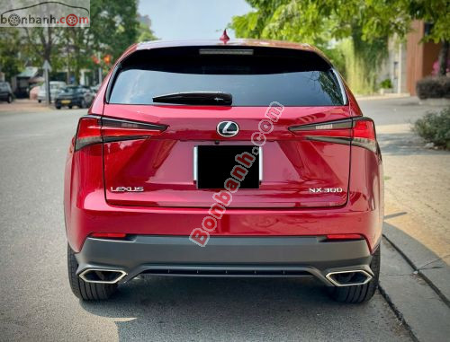 Lexus NX 300 2019 - ảnh 3