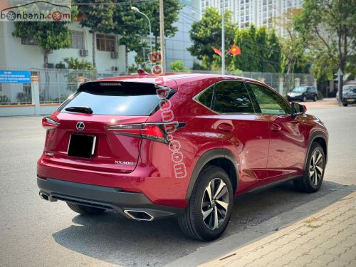 Lexus NX 300 2019 - ảnh 4