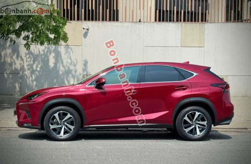 Lexus NX 300 2019 - ảnh 5