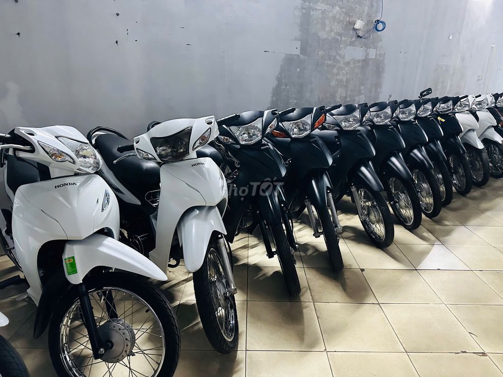 XE M 2023 - ảnh 4