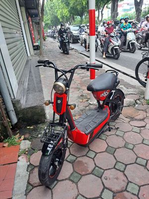 Xe 2020 - ảnh 1