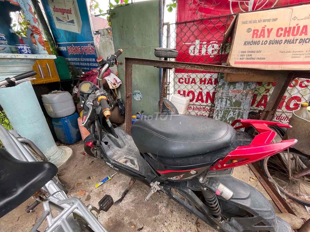 Xe m 2023 - ảnh 4