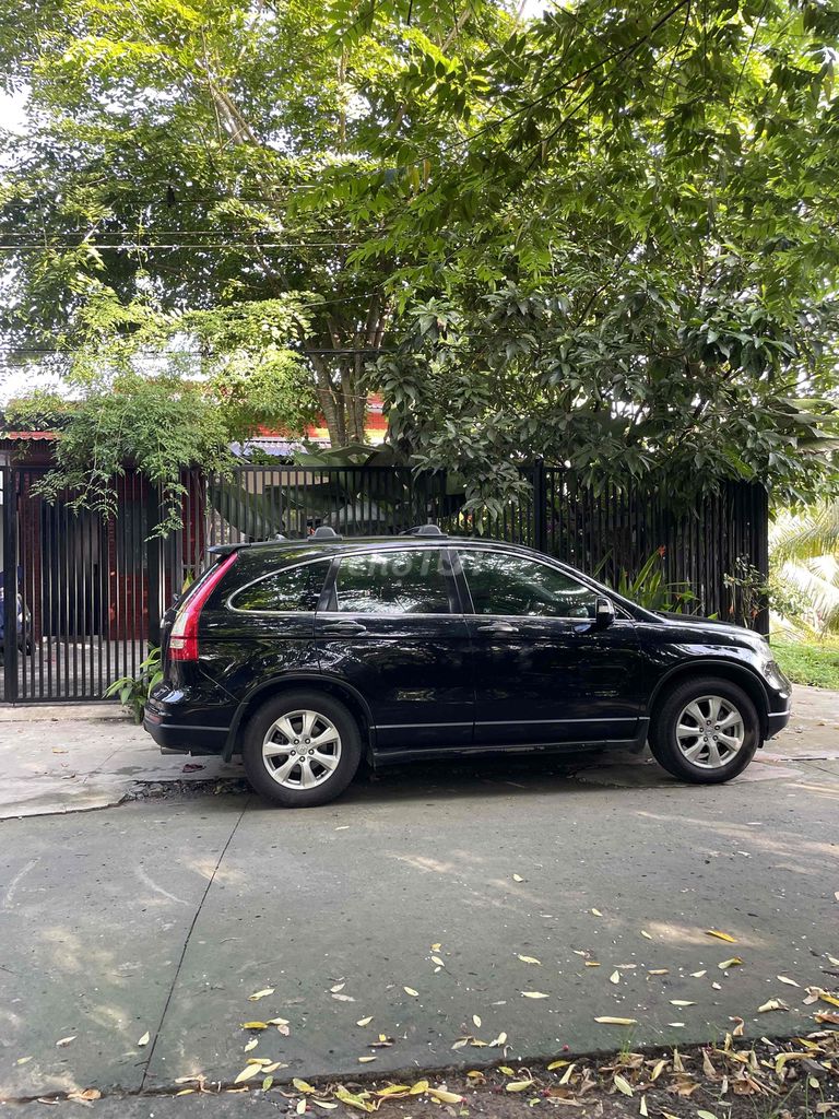 Honda 2010 - ảnh 1