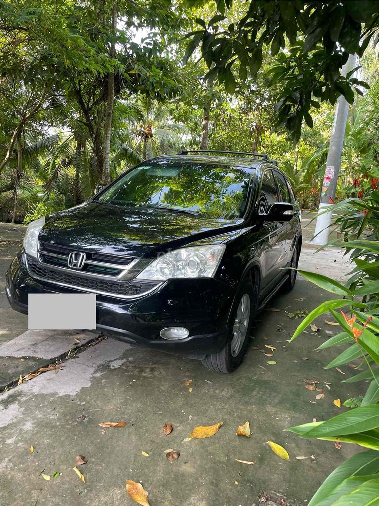 Honda 2010 - ảnh 3
