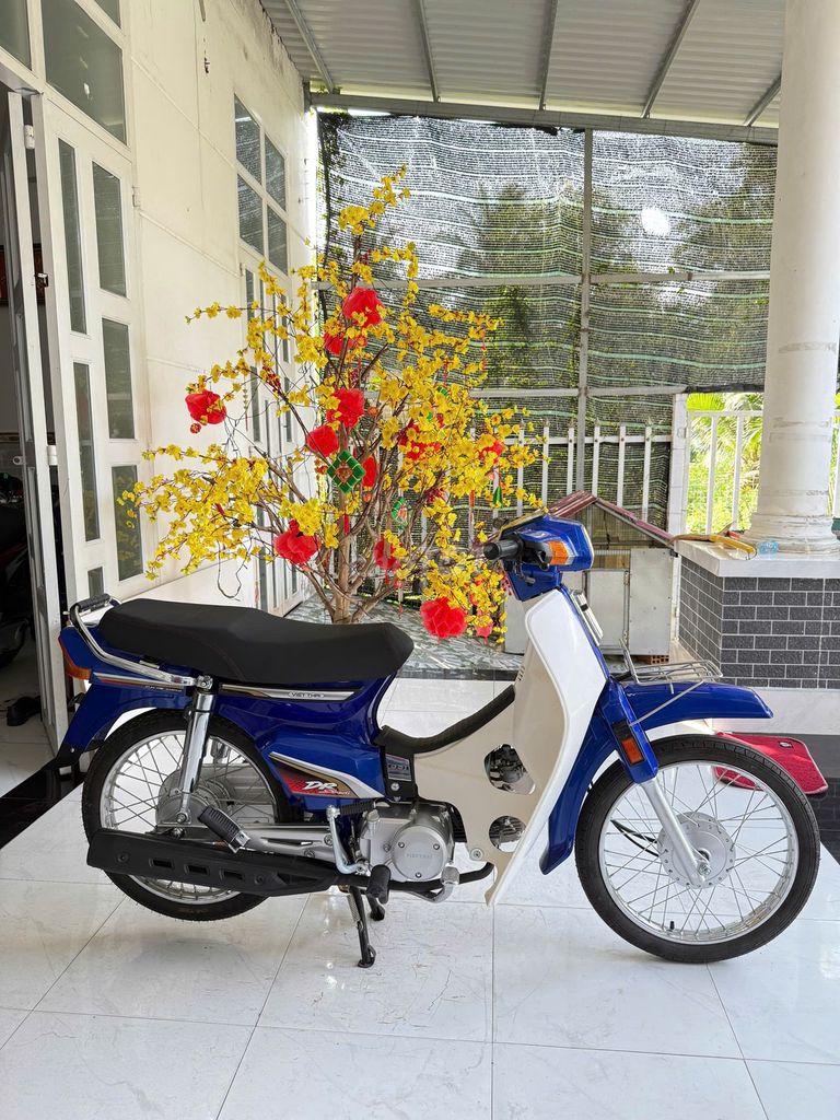 Dream 2025 - ảnh 1