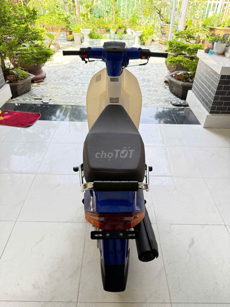 Dream 2025 - ảnh 3