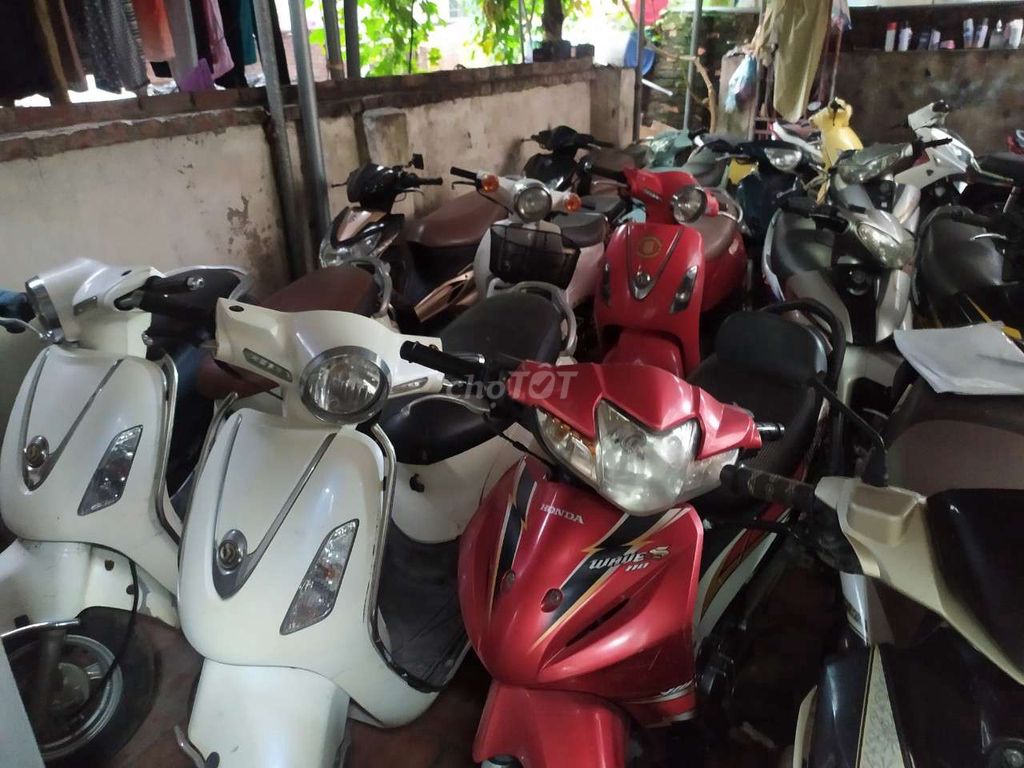 Xe m 2015 - ảnh 1