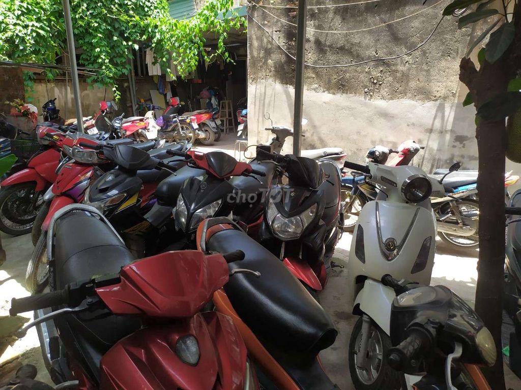 Xe m 2015 - ảnh 3
