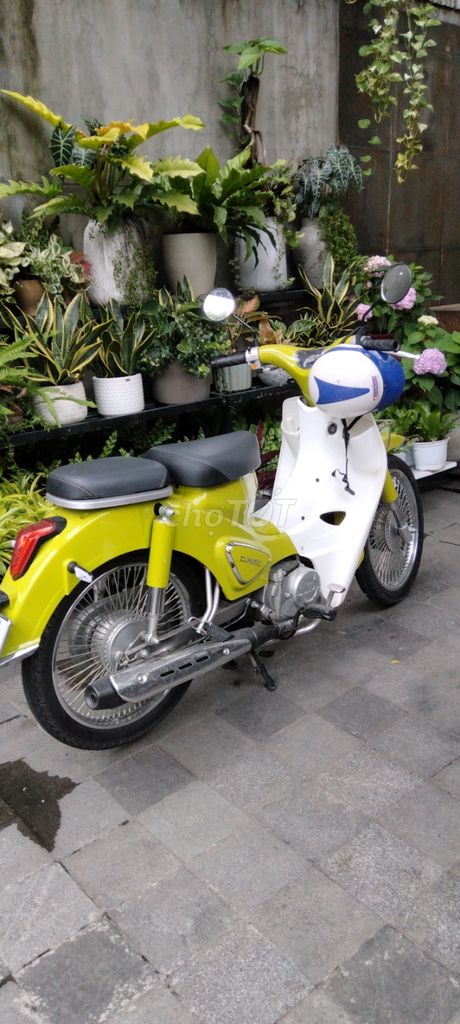 Xe m 2025 - ảnh 1