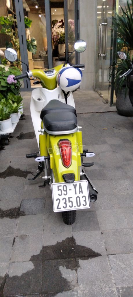 Xe m 2025 - ảnh 2