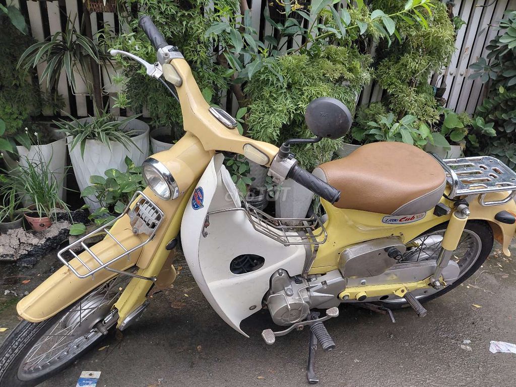 Honda Cub 2015 - ảnh 1