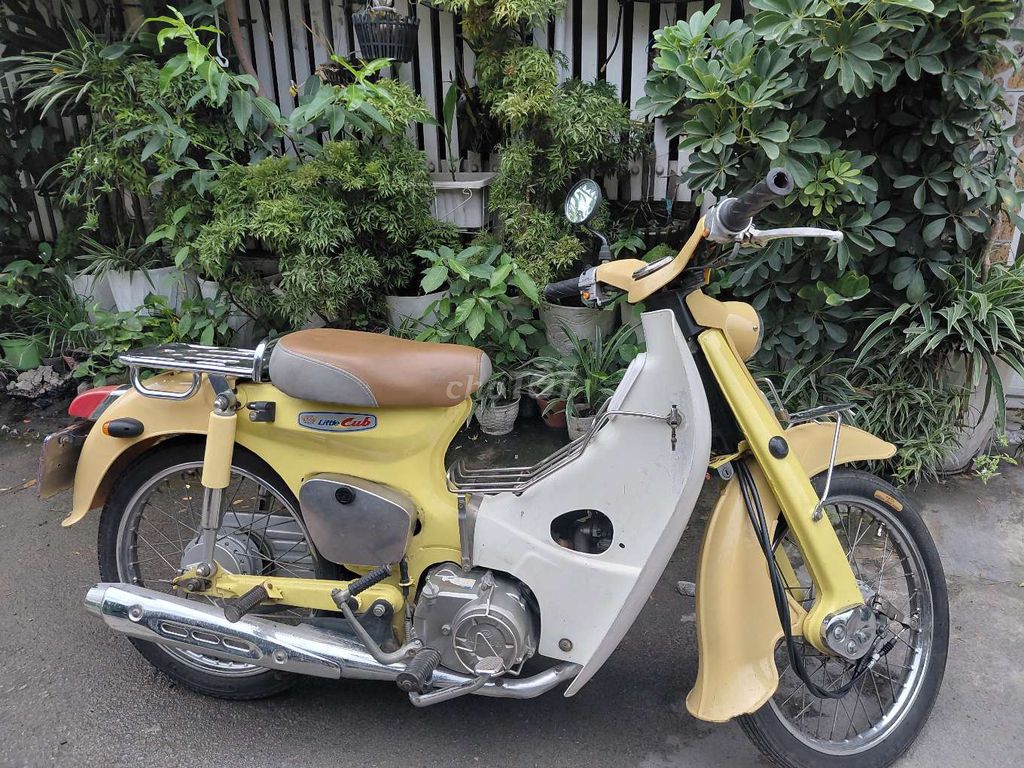 Honda Cub 2015 - ảnh 2