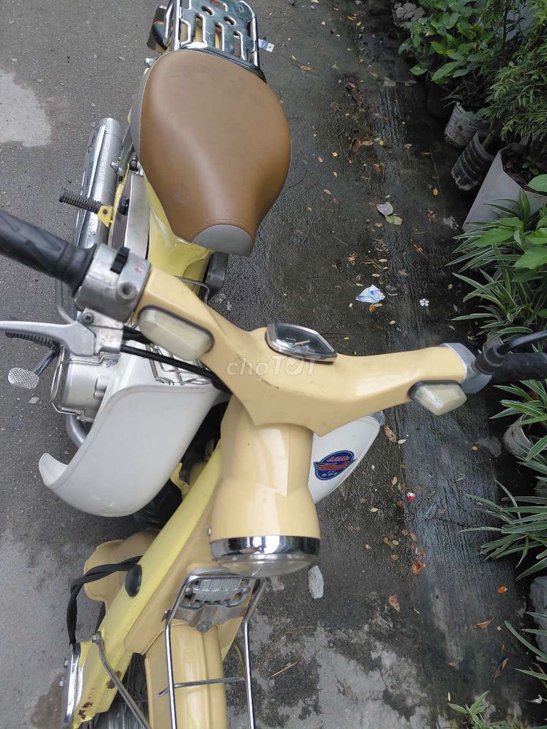 Honda Cub 2015 - ảnh 3