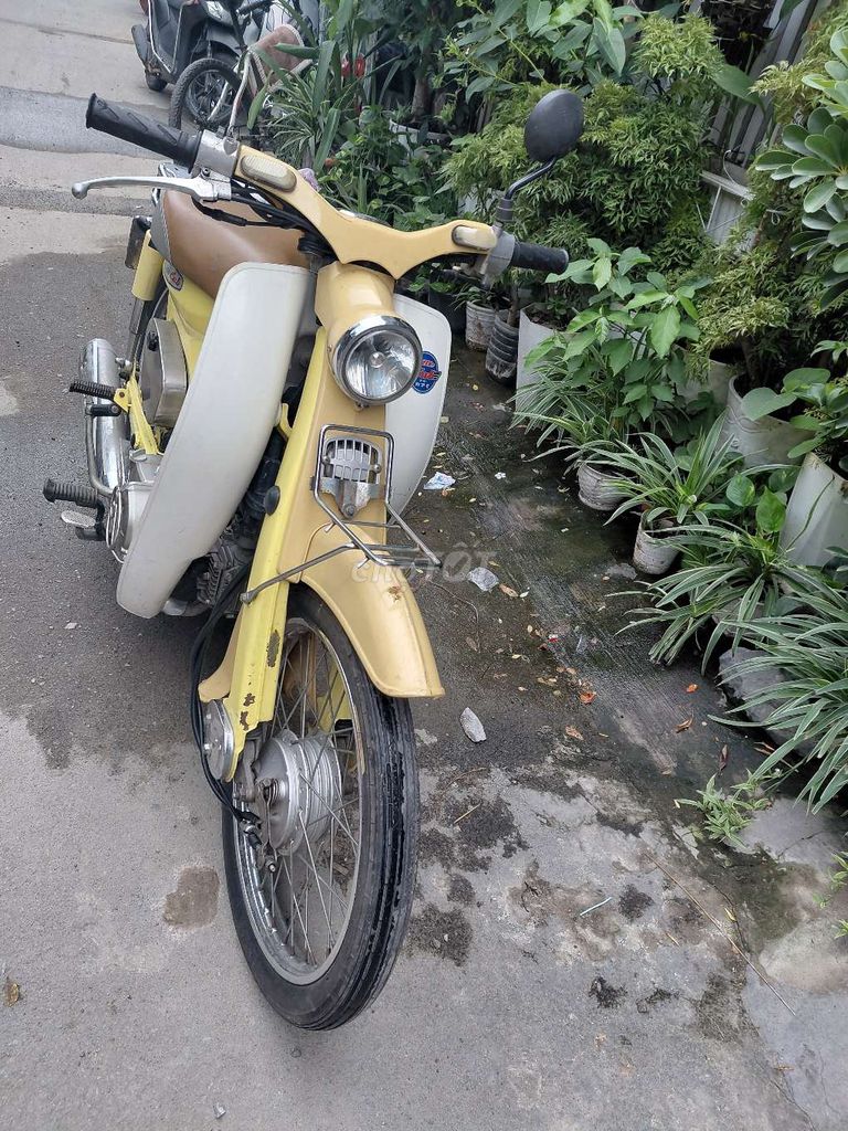 Honda Cub 2015 - ảnh 4