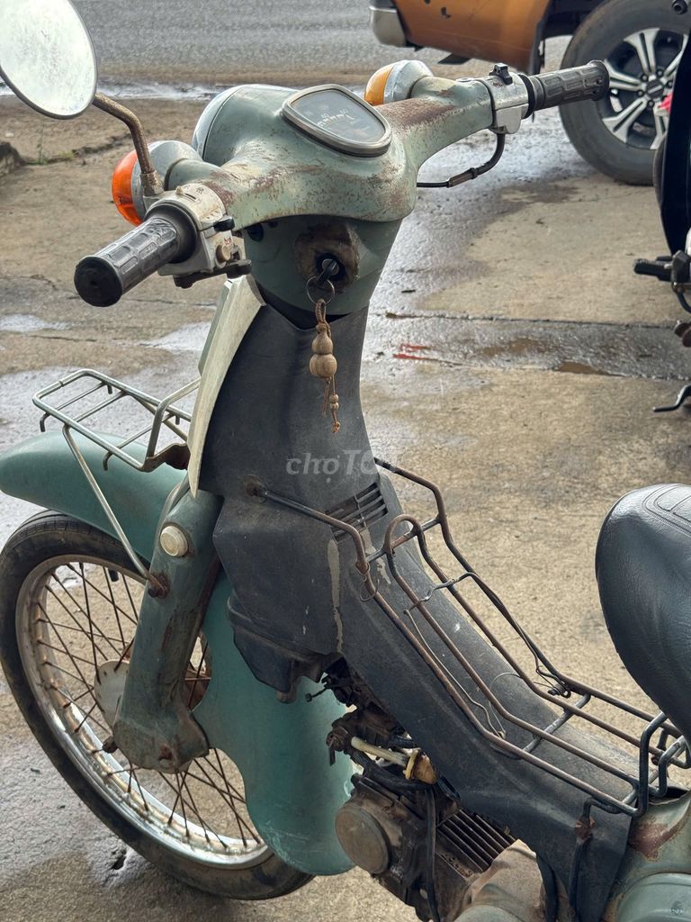 Honda 1981 - ảnh 4