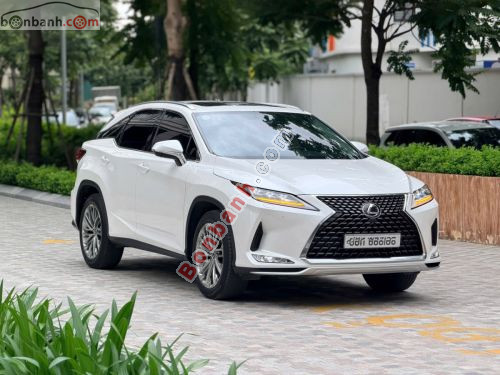 Lexus RX 300 2022 - ảnh 1