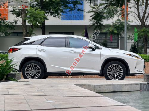 Lexus RX 300 2022 - ảnh 2