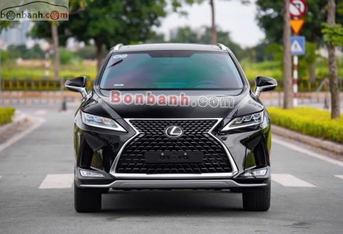 Lexus RX 300 2019 - ảnh 2