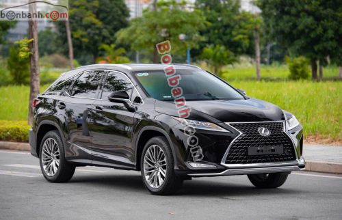Lexus RX 300 2019 - ảnh 3
