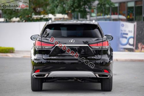 Lexus RX 300 2019 - ảnh 5