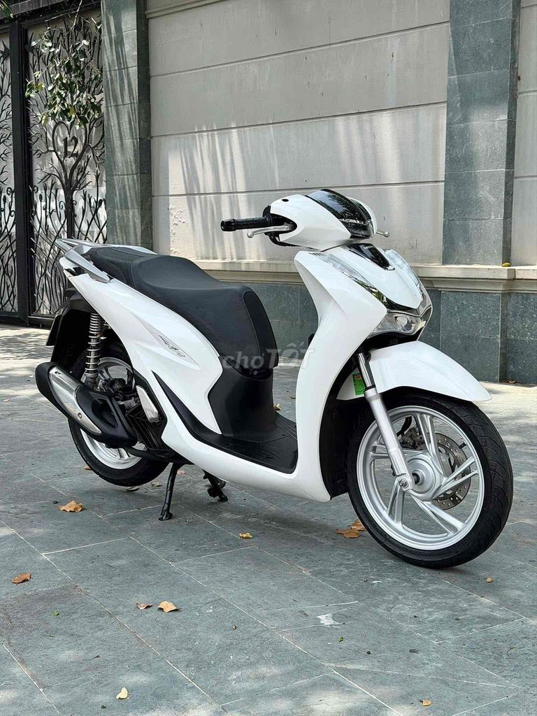 SH 2024 - ảnh 2