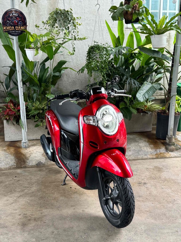 Honda Scoopy 2018 - ảnh 1