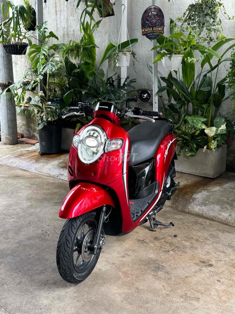 Honda Scoopy 2018 - ảnh 2