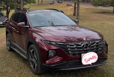 Hyundai Tucson 2022 - ảnh 1
