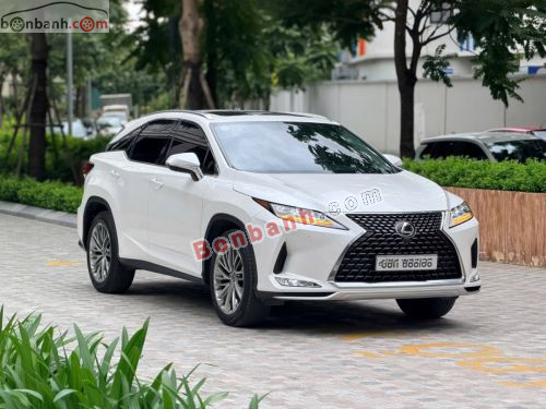Lexus RX 300 2022 - ảnh 2