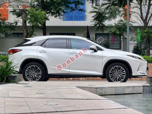 Lexus RX 300 2022 - ảnh 3